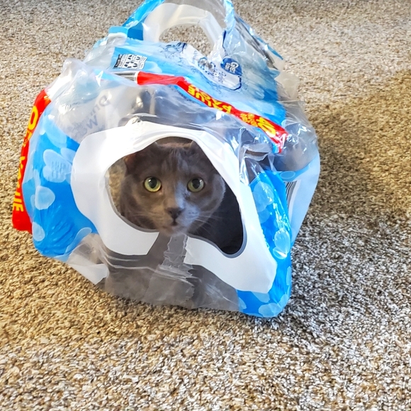 Meet your Posher - Picture 1 of 1